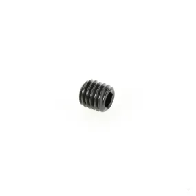 Allen Type Set Screw | 5 x .8mm | 67097 | 738685670972