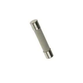 AXYZ - 25695 10 AMP Ceramic Fuse