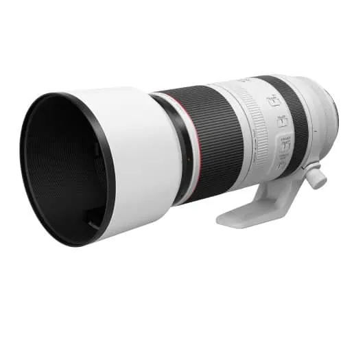 Canon RF 100-500mm f/4.5-7.1 L IS USM