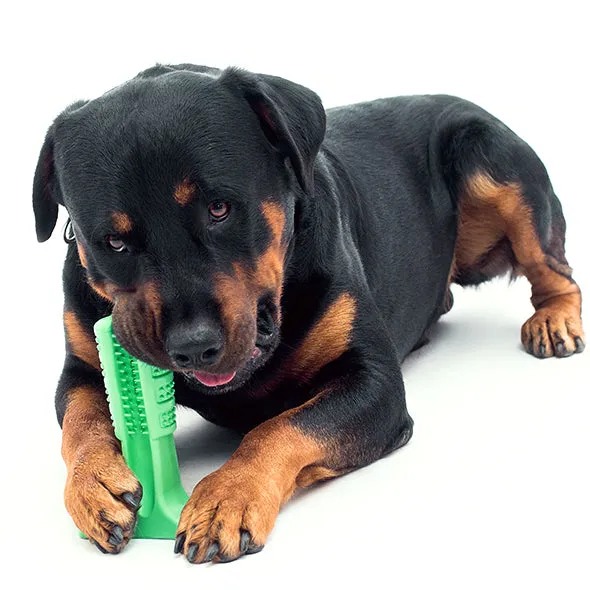 Dog Rubber Toothbrush Molar Rod Bad Breath Tartar Dental Care Toy