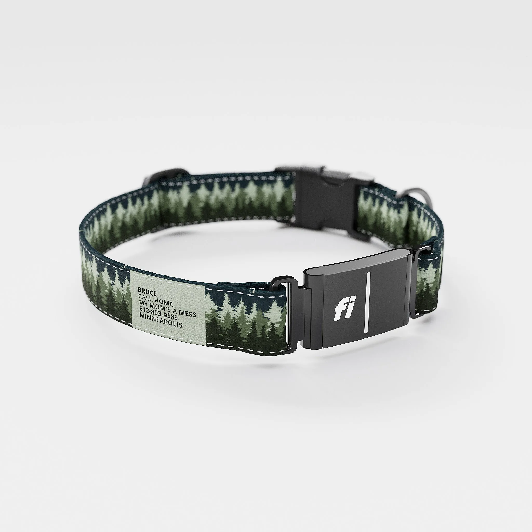 Fi GPS Included Pines Green Everyday Collar (6 month subscription)