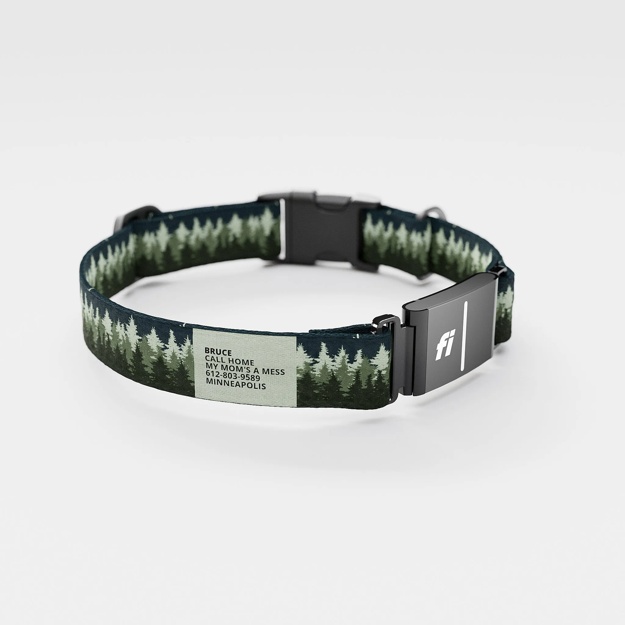 Fi GPS Included Pines Green Everyday Collar (6 month subscription)