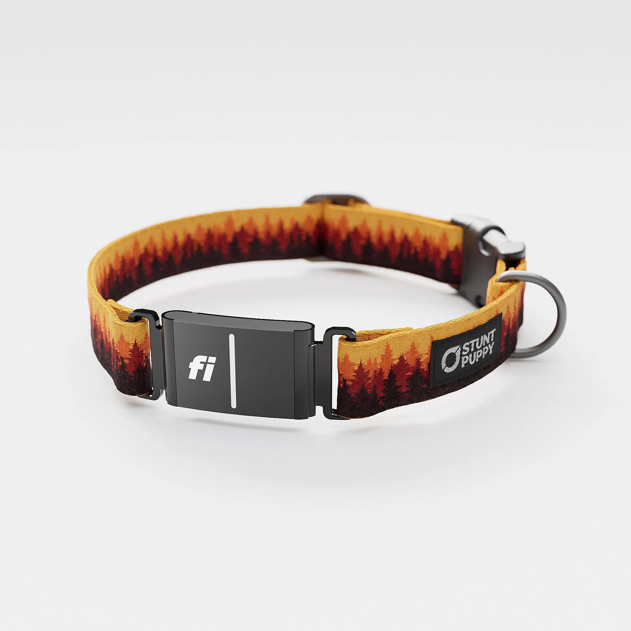 Fi GPS Included Pines Orange Everyday Collar (6 month subscription)