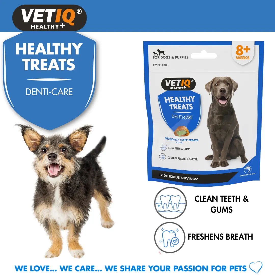 VETIQ Healthy Treat Breath Dental Care Dog Treat 70g - Case of 6